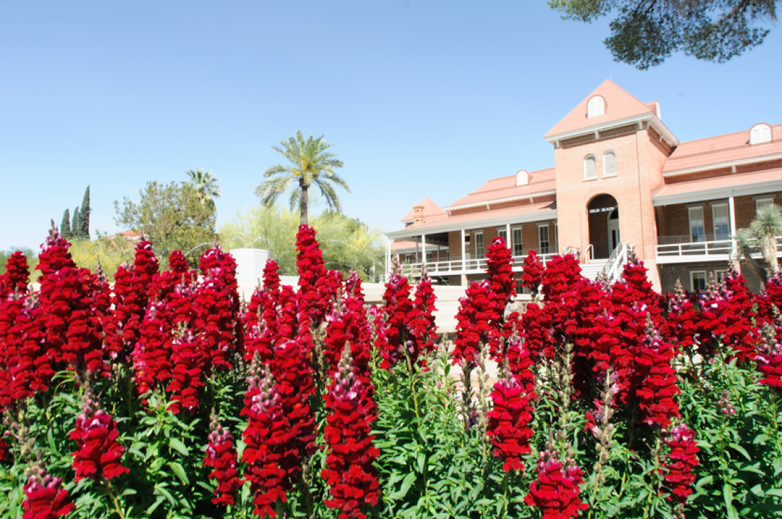 Old Main with red flowers in front